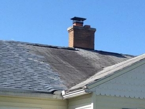 American Contracting NC - Roofing Service in Amity Hill, NC
